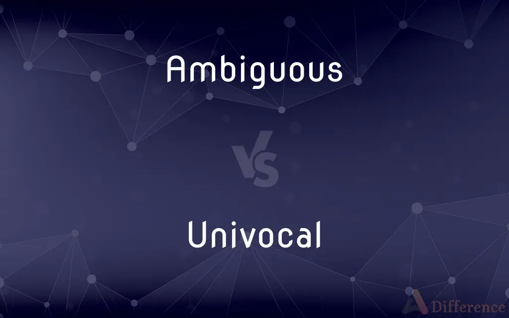 Ambiguous vs. Univocal — What's the Difference?