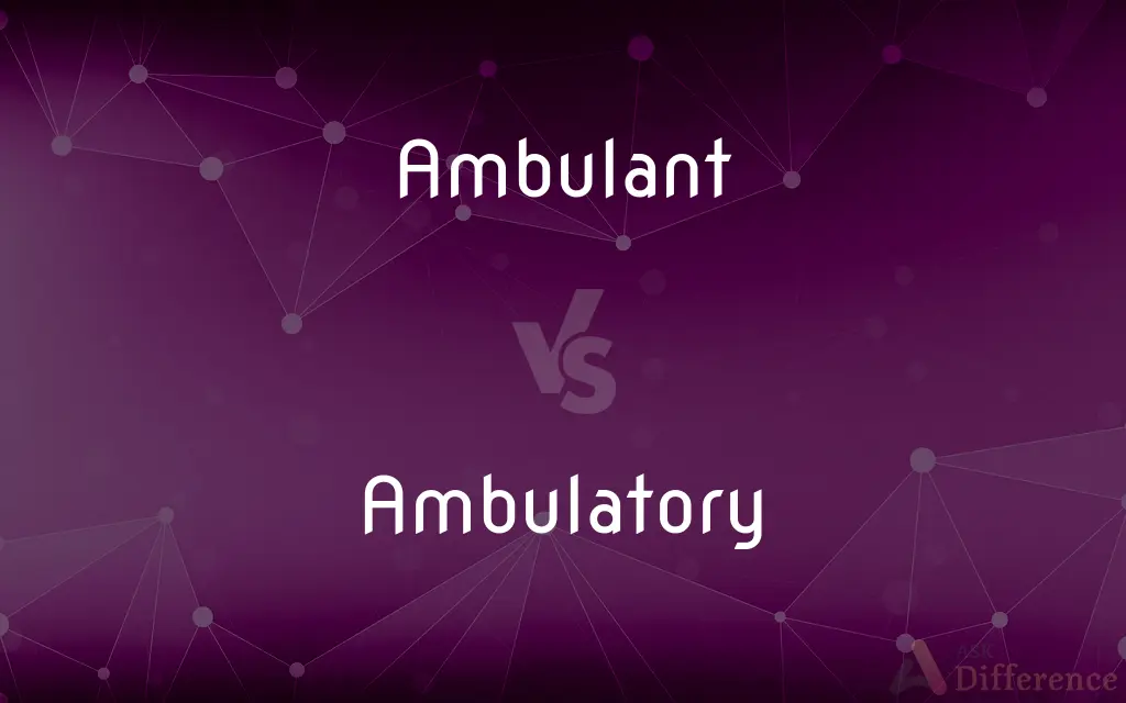Ambulant vs. Ambulatory — What's the Difference?