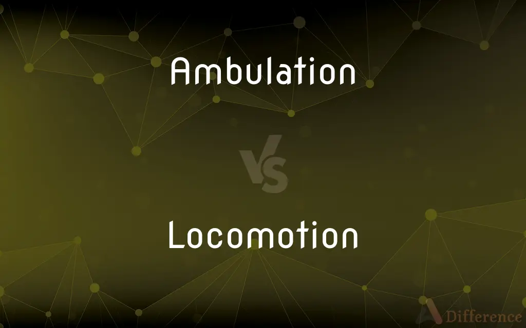 Ambulation vs. Locomotion — What's the Difference?