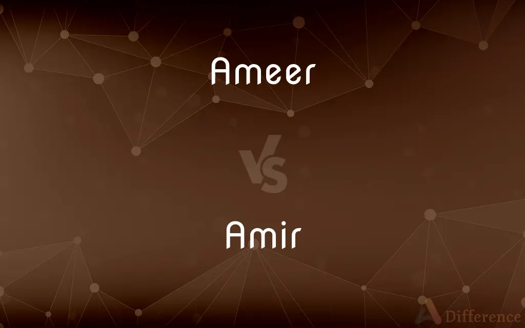 Ameer vs. Amir — What's the Difference?