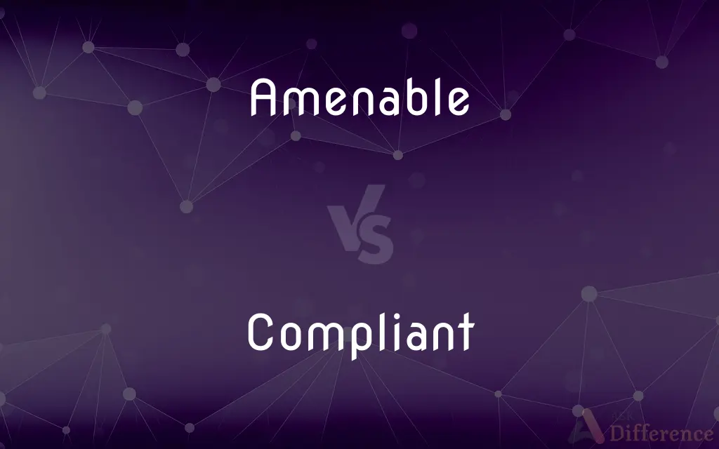 Amenable vs. Compliant — What's the Difference?