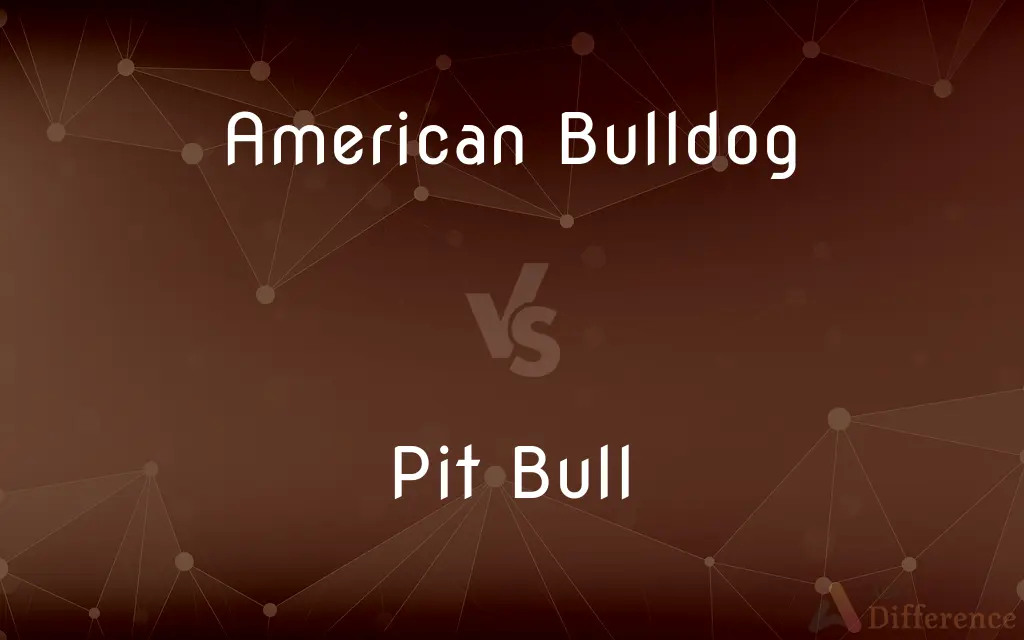 American Bulldog vs. Pit Bull — What's the Difference?