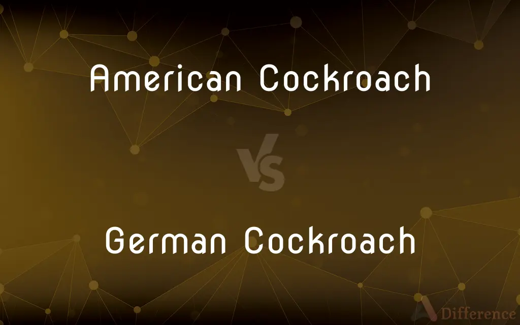 American Cockroach vs. German Cockroach — What's the Difference?