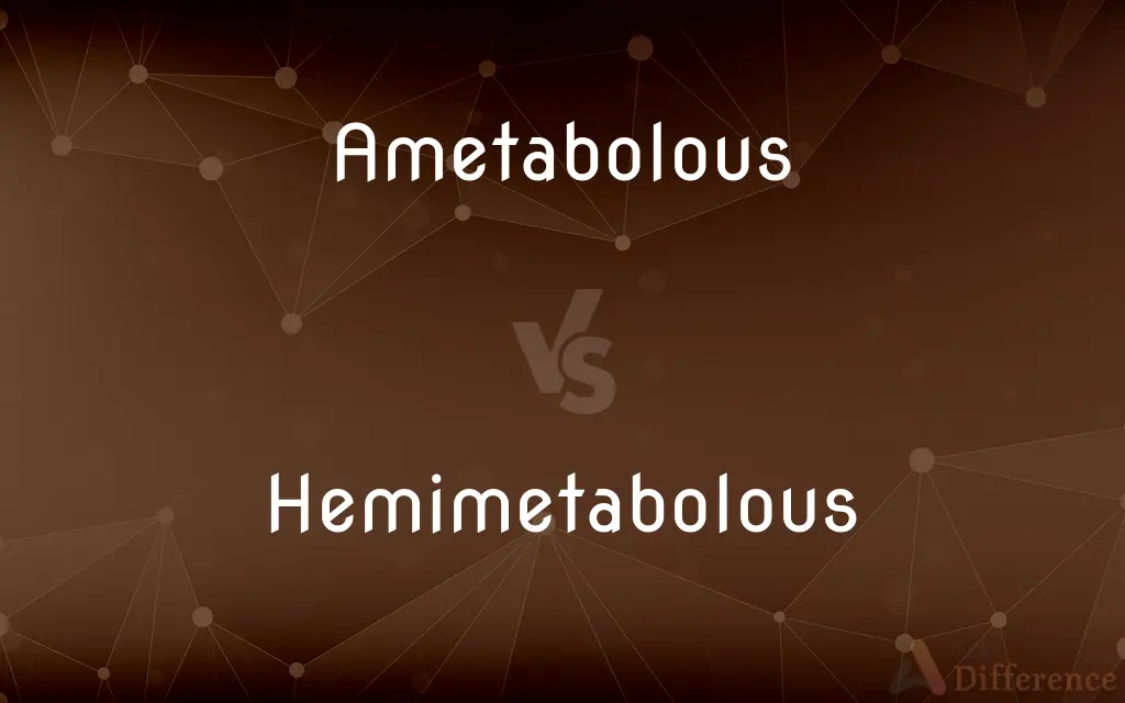 Ametabolous vs. Hemimetabolous — What's the Difference?
