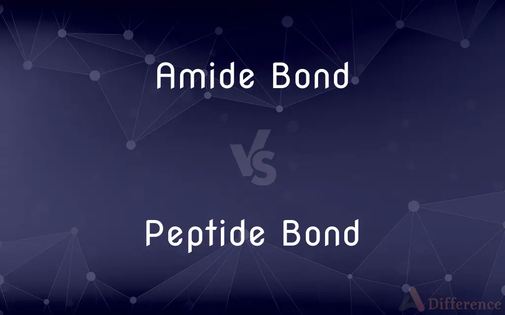 Amide Bond vs. Peptide Bond — What's the Difference?
