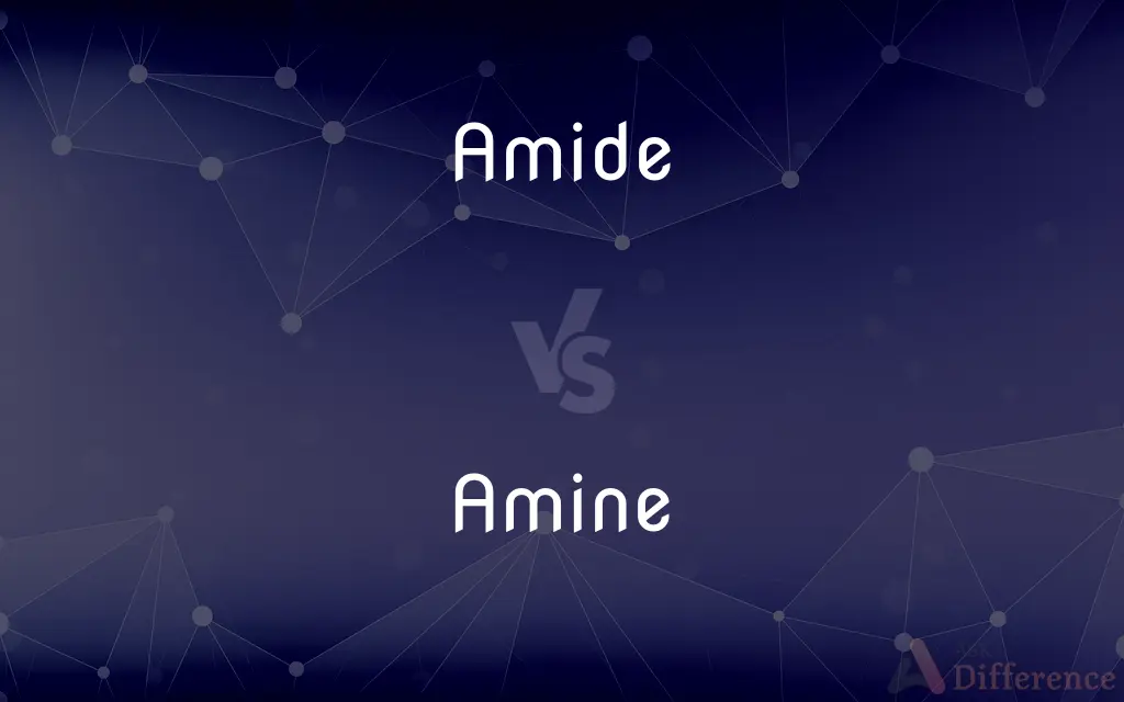 Amide vs. Amine — What's the Difference?