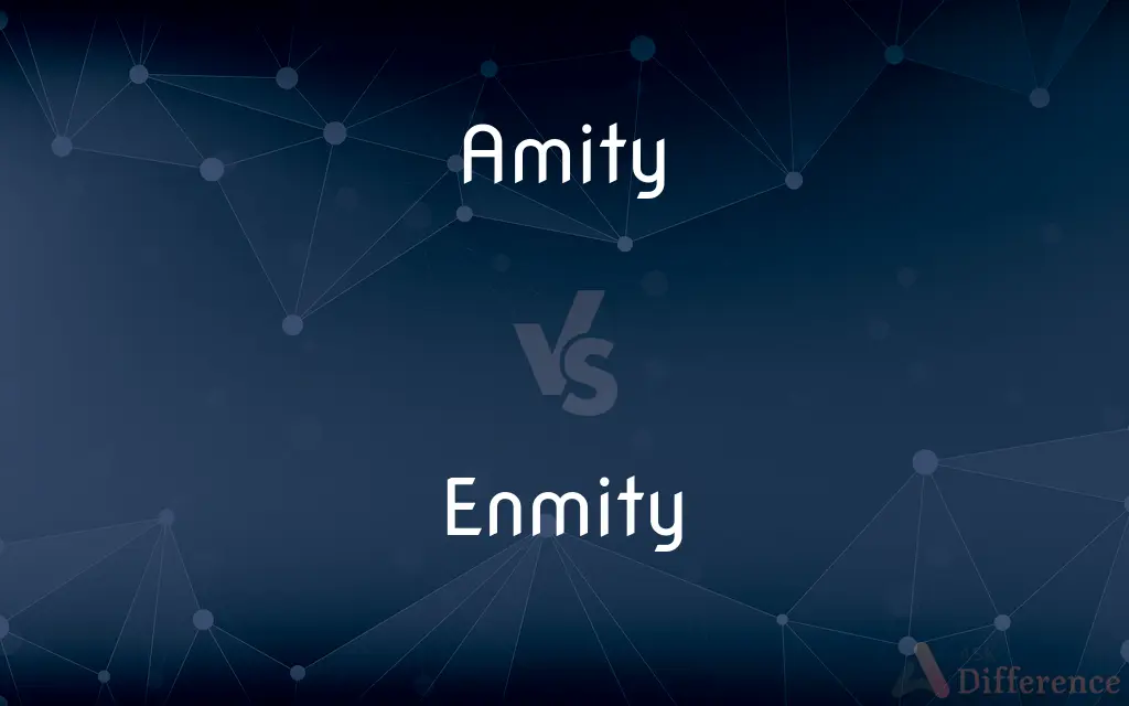 Amity vs. Enmity — What's the Difference?