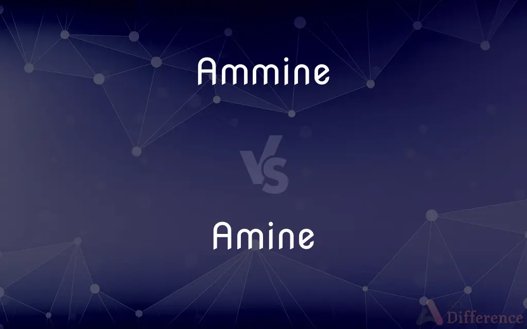 Ammine vs. Amine — What's the Difference?