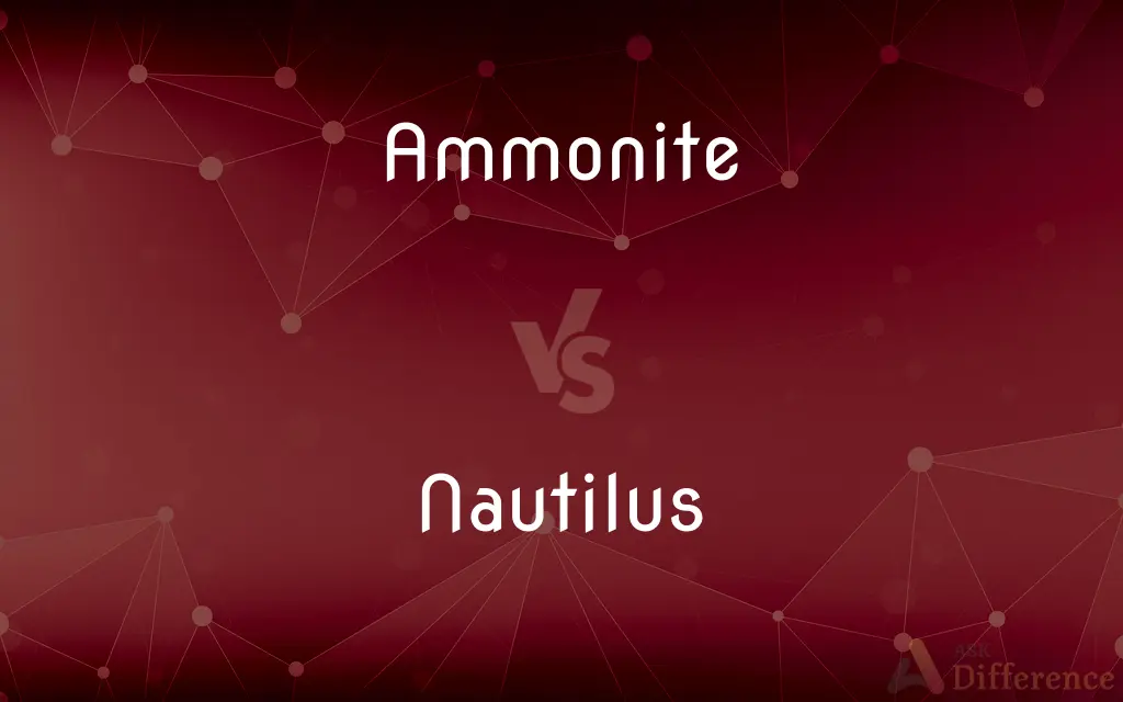 Ammonite vs. Nautilus — What's the Difference?