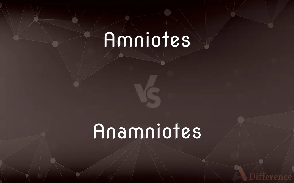 Amniotes vs. Anamniotes — What's the Difference?