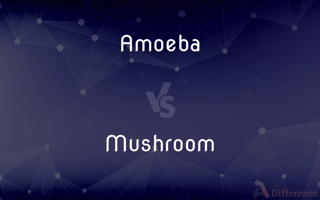 Amoeba vs. Mushroom — What's the Difference?