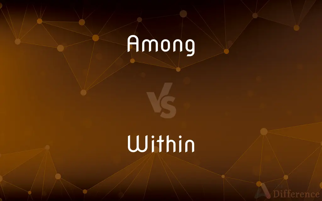 Among vs. Within — What's the Difference?