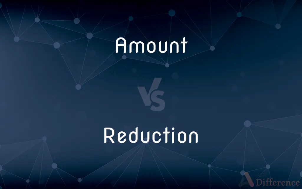 Amount vs. Reduction — What's the Difference?