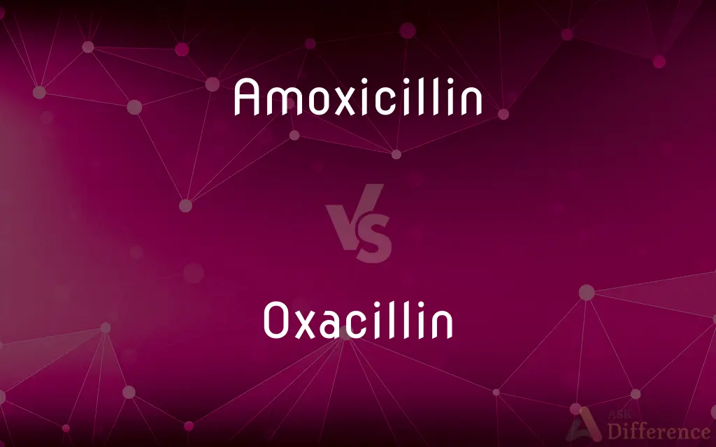 Amoxicillin vs. Oxacillin — What's the Difference?