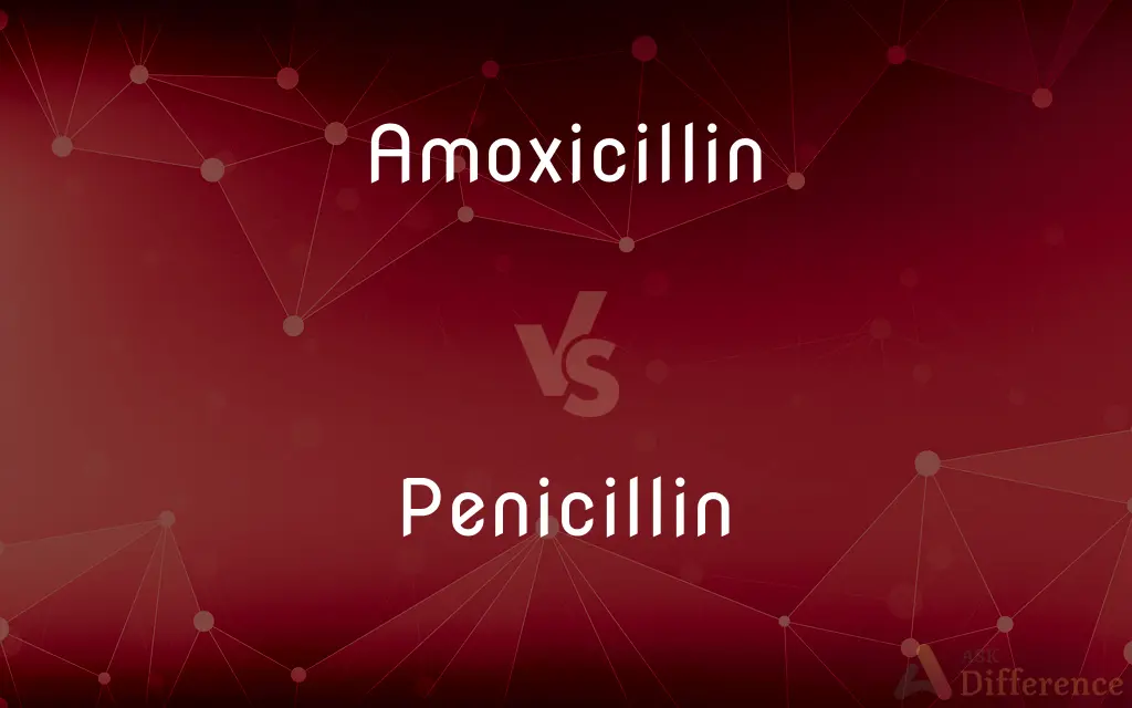 Amoxicillin Vs Penicillin — Whats The Difference