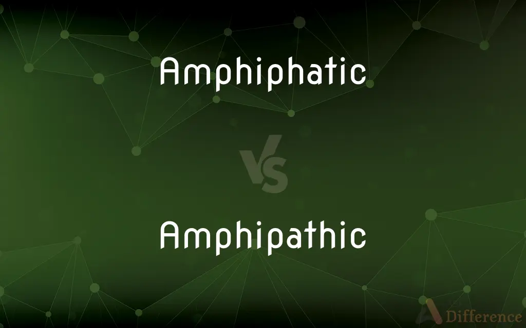 Amphiphatic vs. Amphipathic — Which is Correct Spelling?