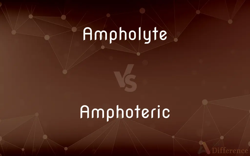 Ampholyte vs. Amphoteric — What's the Difference?