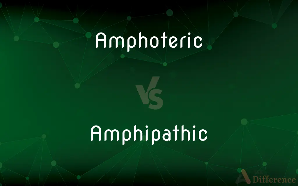 Amphoteric vs. Amphipathic — What's the Difference?