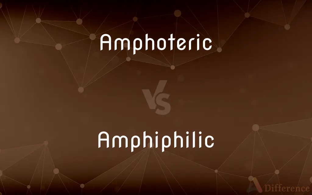 Amphoteric vs. Amphiphilic — What's the Difference?