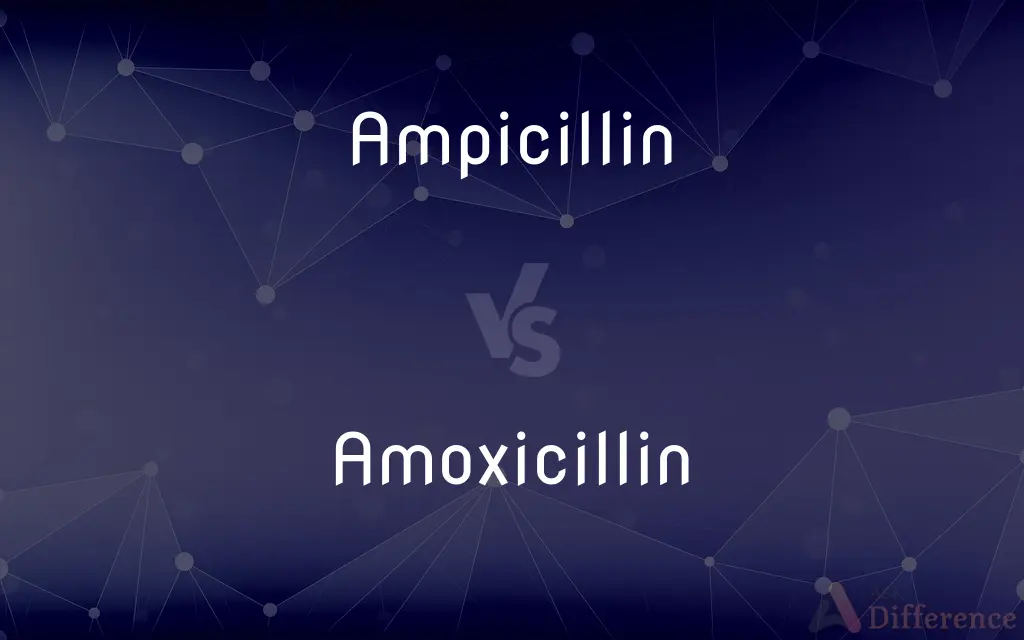 Ampicillin vs. Amoxicillin — What's the Difference?