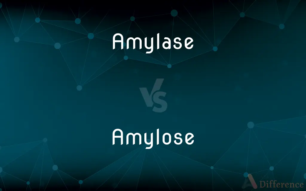 Amylase vs. Amylose — What's the Difference?