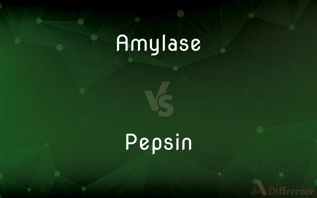 Amylase vs. Pepsin — What's the Difference?