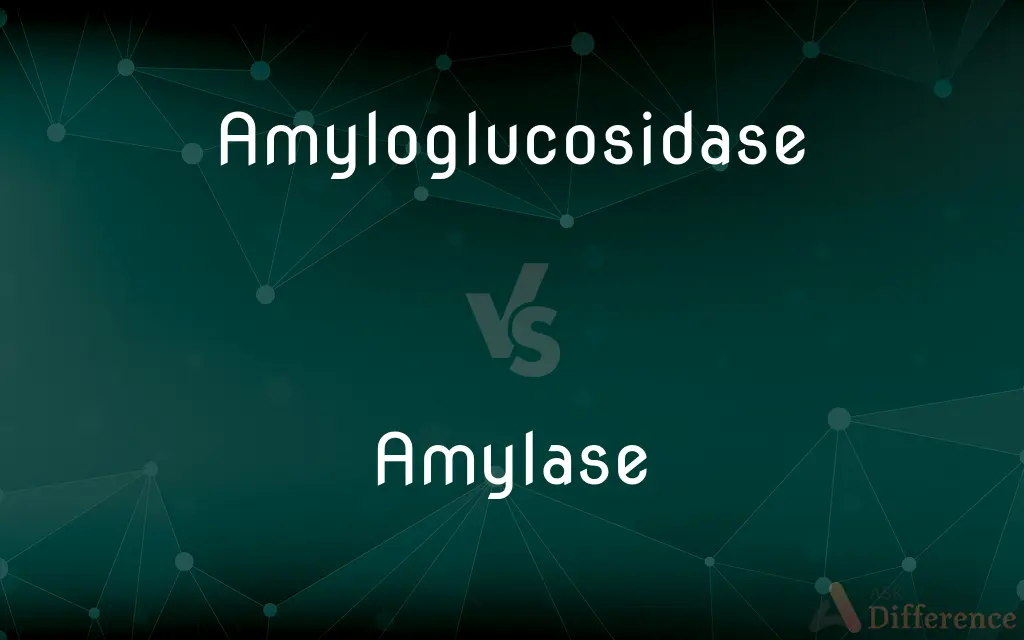 Amyloglucosidase vs. Amylase — What's the Difference?