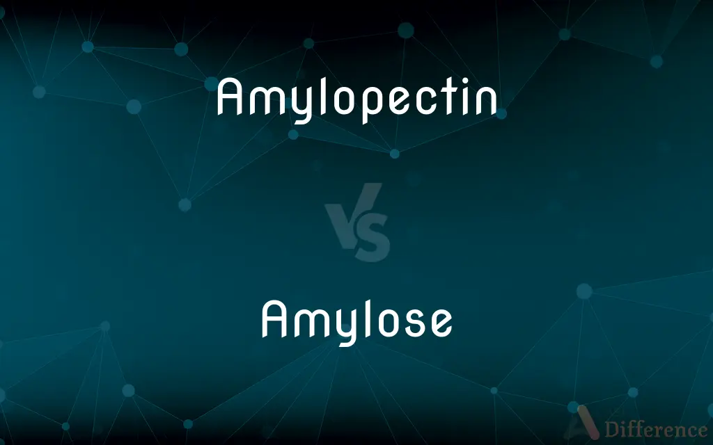 Amylopectin vs. Amylose — What's the Difference?