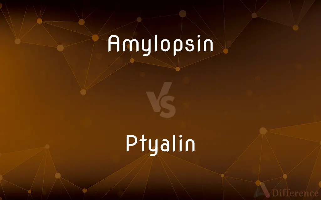 Amylopsin vs. Ptyalin — What's the Difference?