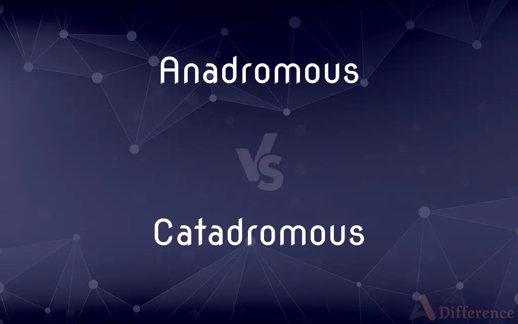 Anadromous vs. Catadromous — What's the Difference?