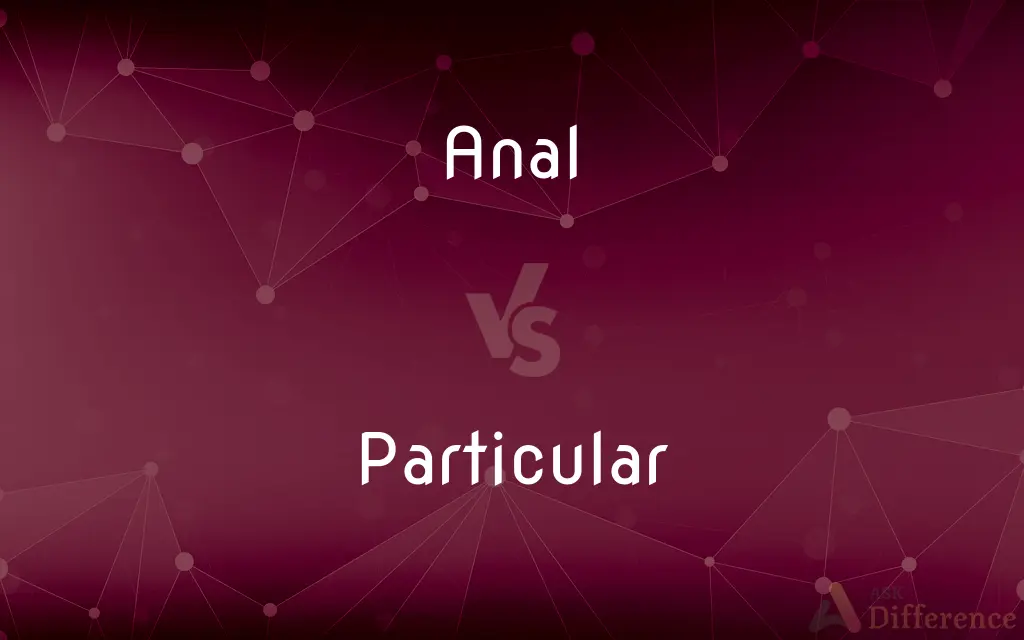 Anal vs. Particular — What's the Difference?