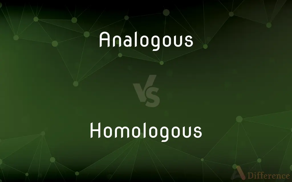 Analogous vs. Homologous — What's the Difference?