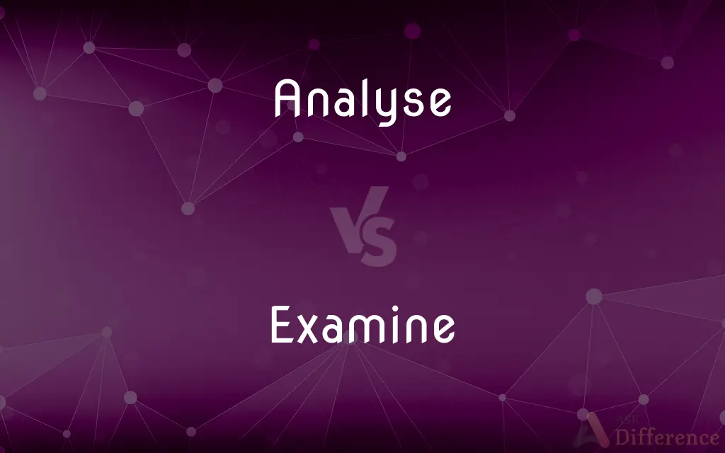 Analyse vs. Examine — What's the Difference?
