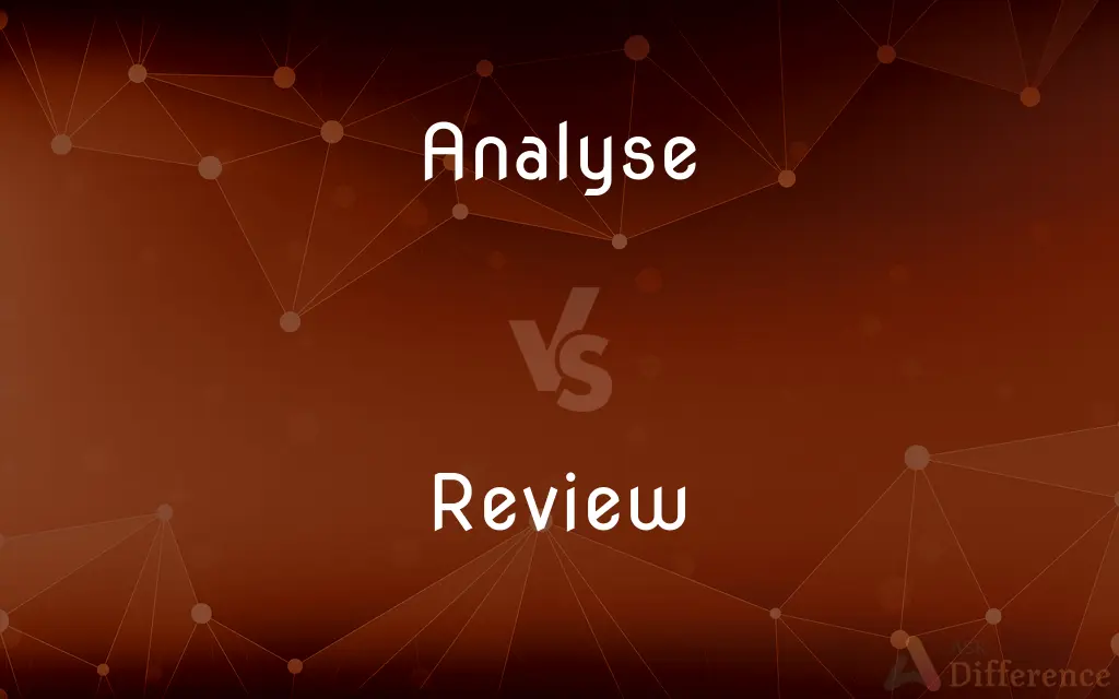 Analyse vs. Review — What's the Difference?
