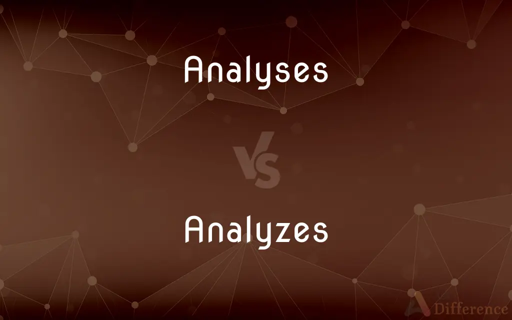 Analyses vs. Analyzes — What's the Difference?
