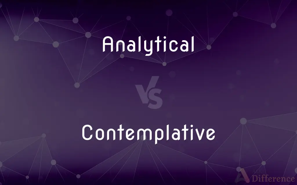 Analytical vs. Contemplative — What's the Difference?