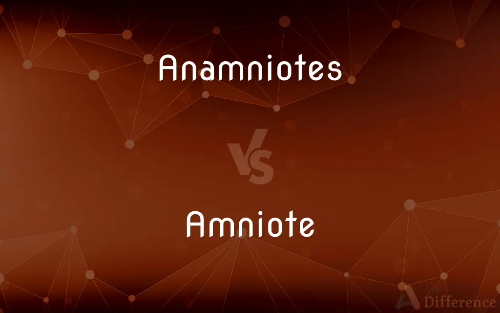 Anamniotes vs. Amniote — What's the Difference?