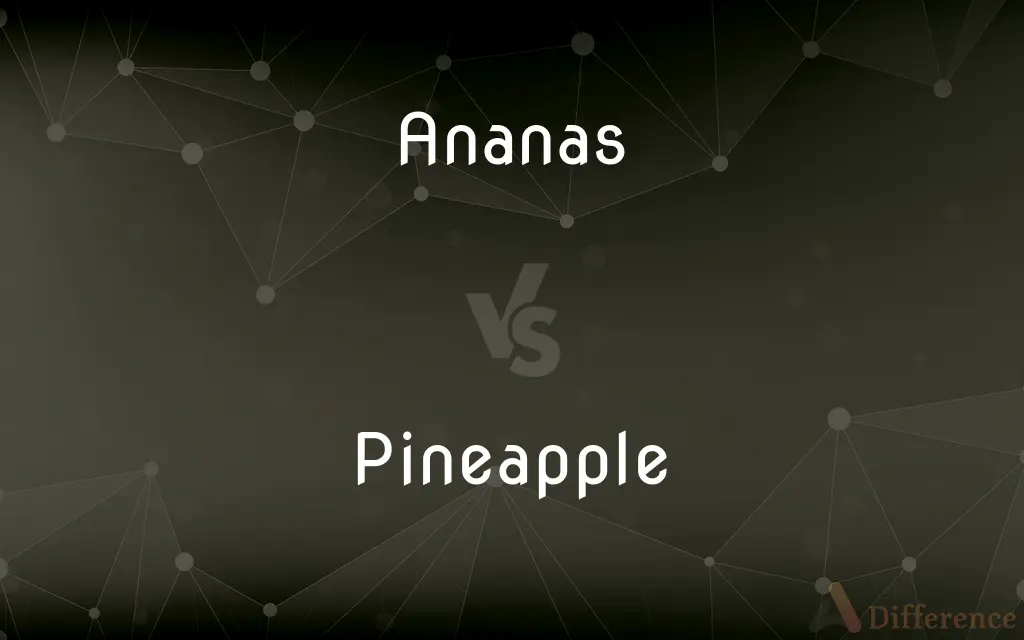 Ananas vs. Pineapple — What's the Difference?