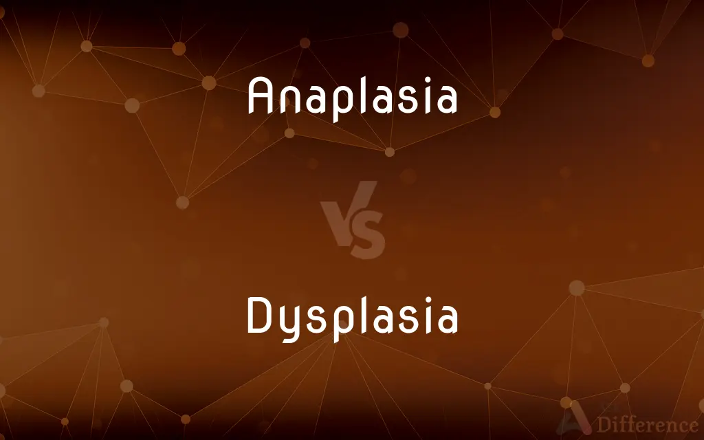 Anaplasia vs. Dysplasia — What's the Difference?