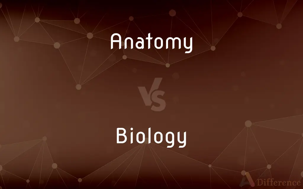Anatomy vs. Biology — What's the Difference?