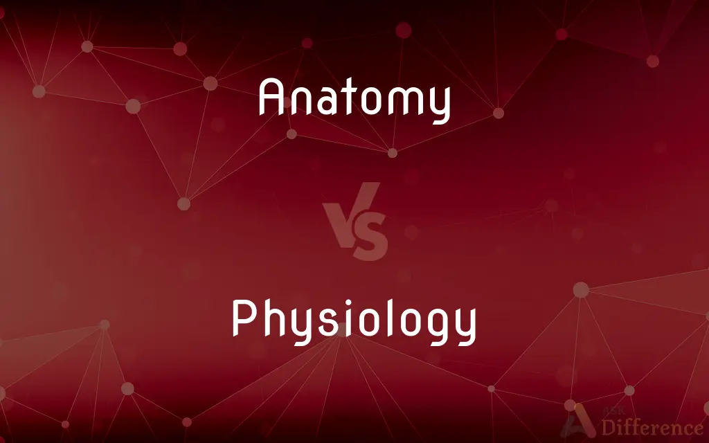Anatomy vs. Physiology — What's the Difference?