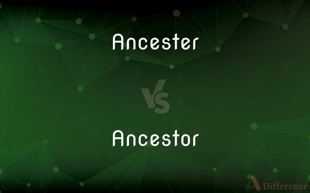 Ancester vs. Ancestor — Which is Correct Spelling?