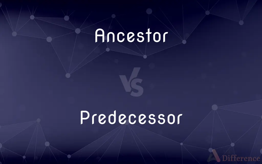 Ancestor vs. Predecessor — What's the Difference?