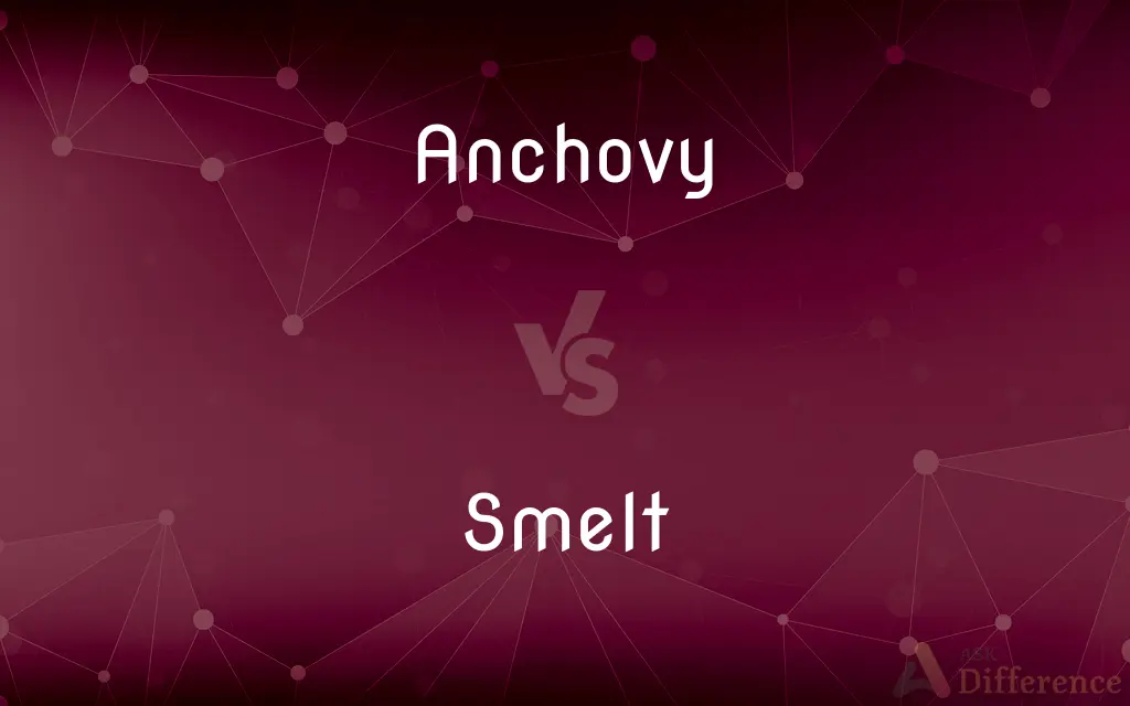 Anchovy vs. Smelt — What's the Difference?