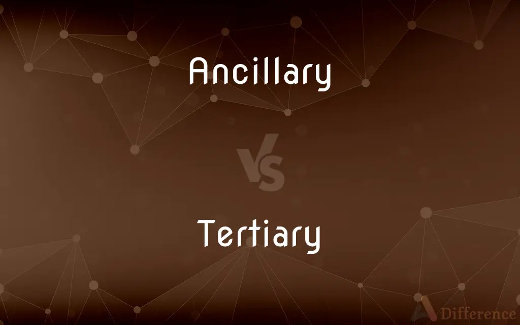 Ancillary vs. Tertiary — What's the Difference?