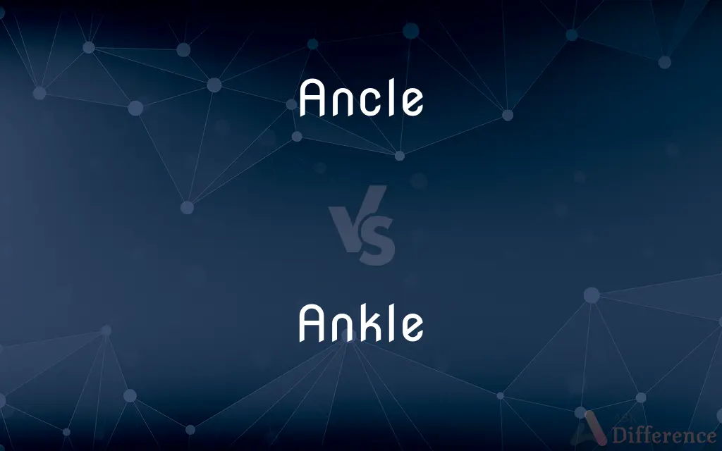Ancle vs. Ankle — What's the Difference?
