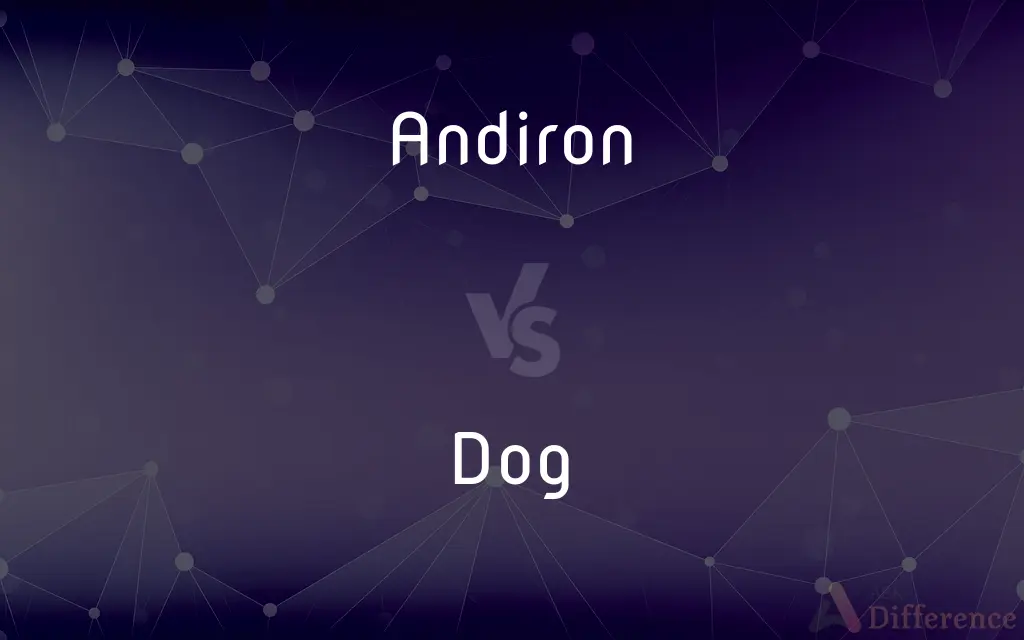 Andiron vs. Dog — What's the Difference?
