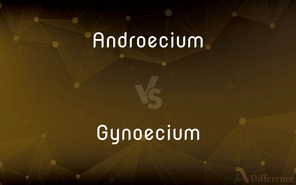 Androecium vs. Gynoecium — What's the Difference?