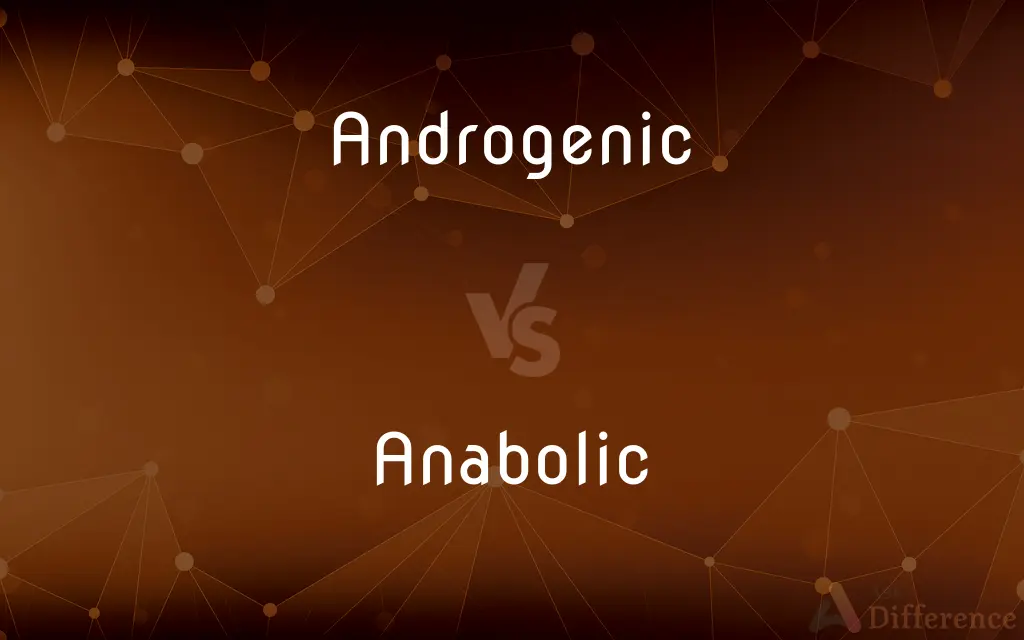 Androgenic vs. Anabolic — What's the Difference?