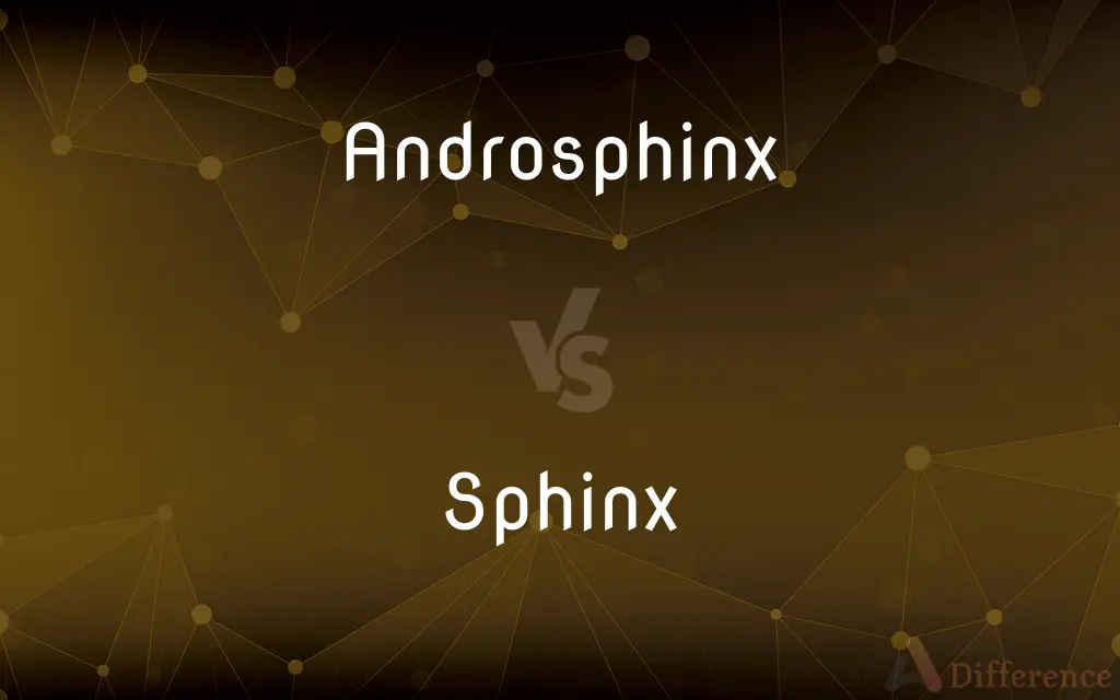 Androsphinx vs. Sphinx — What's the Difference?